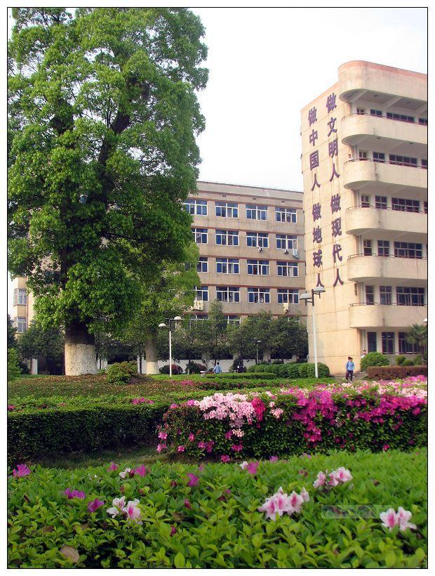 麓山国际实验学校 校内景观