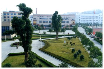 麓山国际实验学校 校内景观设计